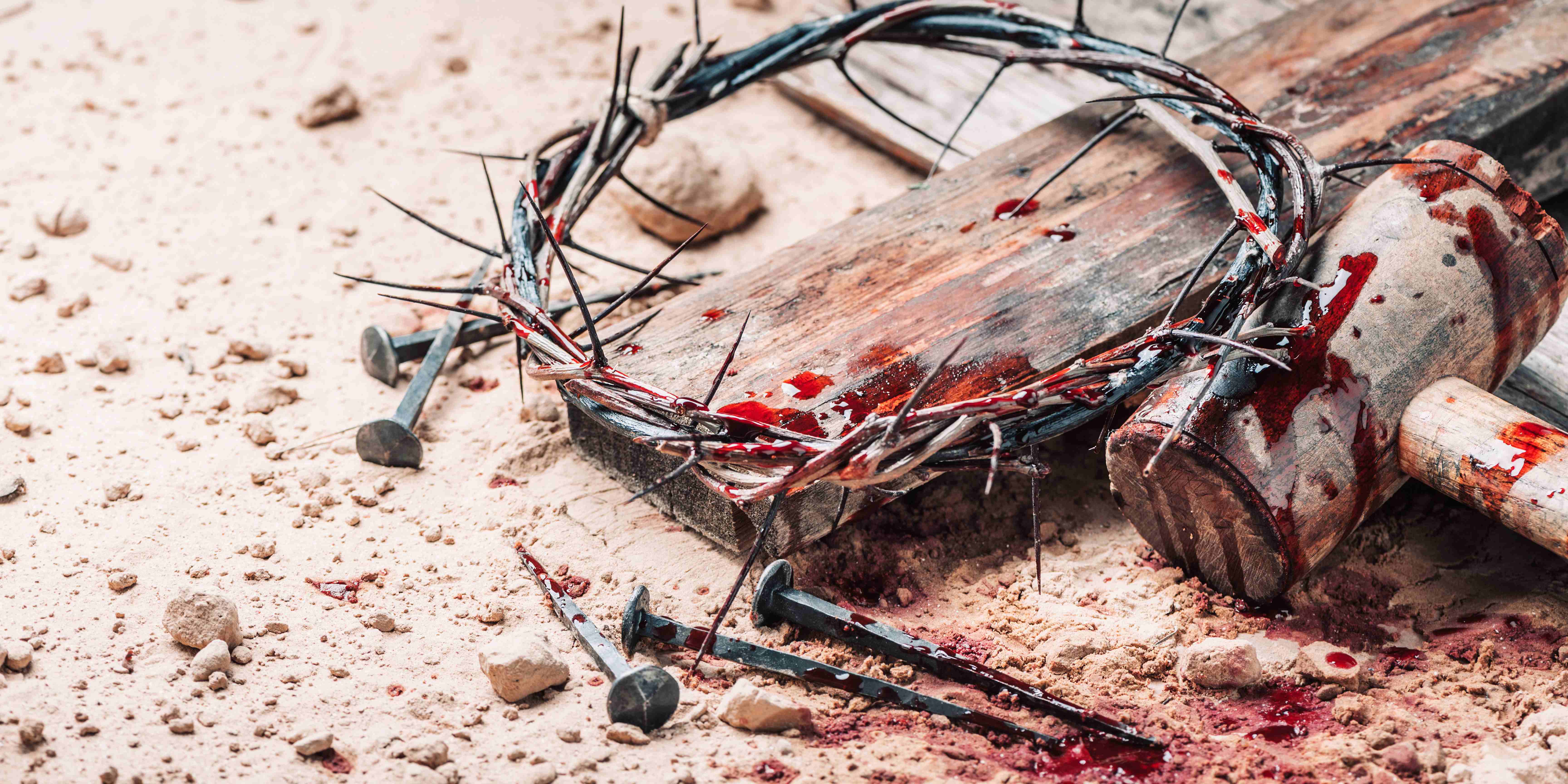 The Blood That Saves: A Divine Transfusion